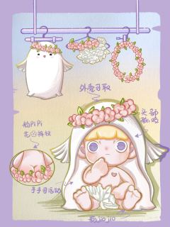 和平鸽-资料图