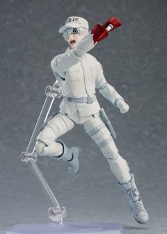 figma#489 白细胞 U-1146-资料图