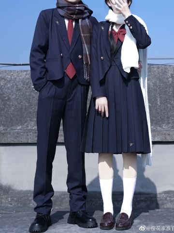 塞勒涅学院