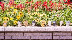 Nyanboard Figure Collection 阿楞 Tabby(bicolor)-资料图