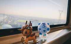 隐藏款-雪橇-资料图