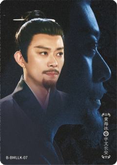 黄海冰 饰 宇文长安