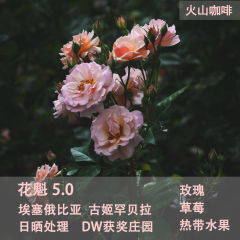 埃塞俄比亚花魁5.0