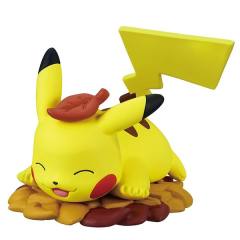 Pokémon Harahara Ochiba Asobi 皮卡丘