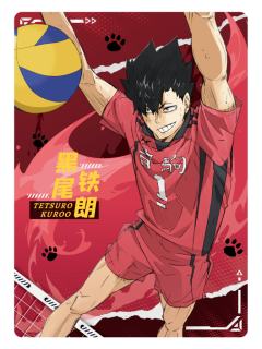 高光时刻卡4-集卡社垃圾场决战收藏卡