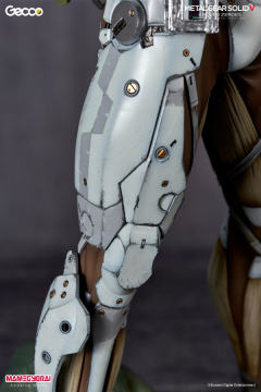 雷电 White Armor ver.-资料图