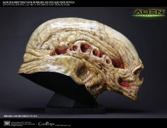 Alien Newborn -资料图