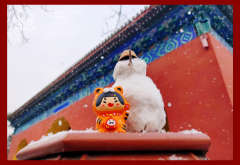 招财虎虎-资料图