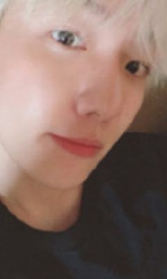 专卡贤 obsession verA.