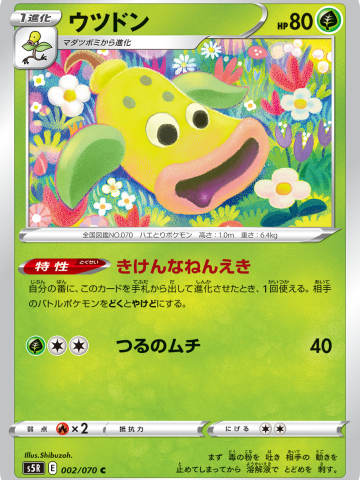 口呆花