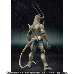 SHF 德拉斯-资料图