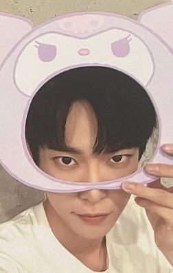 三丽鸥立牌卡 貂