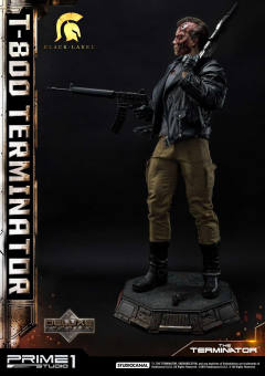T-800 DX version-资料图