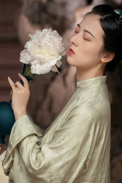 杂宝灵芝纹样-资料图