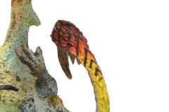 Capcom Figure Builder Standard Model Monster Hunter Vol.7 奇猿狐 Angry ver.-资料图