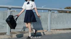 箱褶套装-资料图