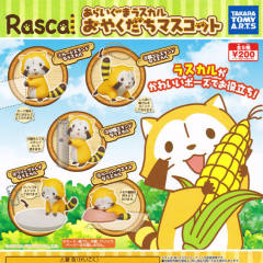 Araiguma Rascal Oyakudachi Mascot 拉斯卡尔 Paper Weight Rascal