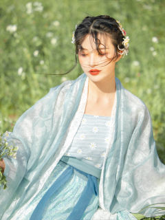 初夏的小雏菊-资料图