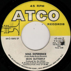 Soul Experience / In The Crowds
