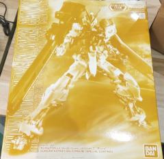 MG MBF-P01 异端高达金色机 特殊质感-资料图