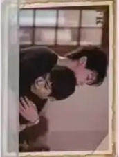 FR【枇杷树下】