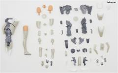 女神装置 A2 兼志谷星-资料图