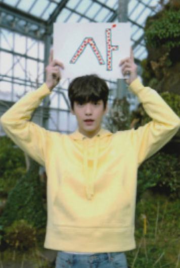 crown ver.C