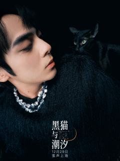 黑猫与潮汐-资料图