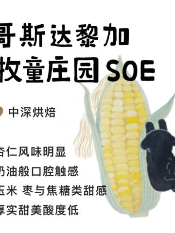 哥斯达黎加牧童庄园SOE