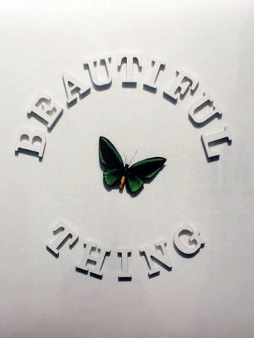 Beautiful Thing