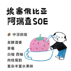 阿瑞查SOE