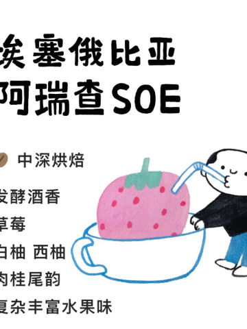 阿瑞查SOE