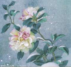 踏云馆