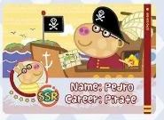 SRR职业卡