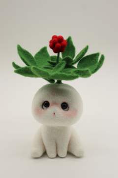 人参宝宝【8月线上展开售】