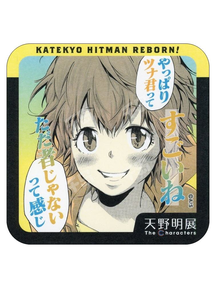 天野明展 缶バッジ 笹川京子 天野明展 缶バッジ 笹川京子 三浦ハル 家庭教師ヒットマンREBORN