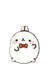 bowtie