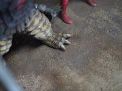 CCP 1/6 Tokusatsu Series 暴君怪兽泰兰特-资料图