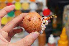 麻薯寄居蟹-资料图