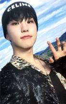 2022 D社卡册 verA.