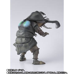 SHF 安东拉-资料图