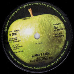 Junior's Farm