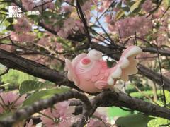 草莓牛奶-资料图