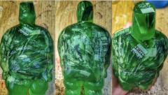 Talis man 绿透美金体-资料图