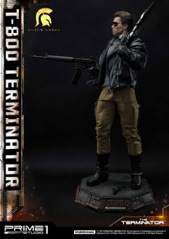T-800 DX version-资料图