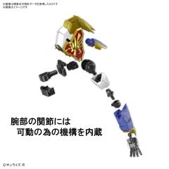 HG Amplified IMGN 龙神丸-资料图