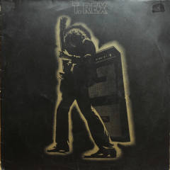 Electric Warrior