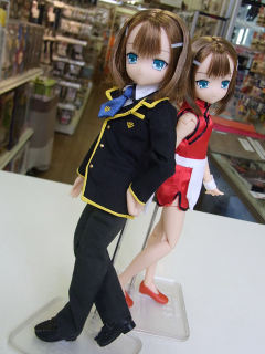 Asterisk Collection Series PureNeemo 木下秀吉-资料图