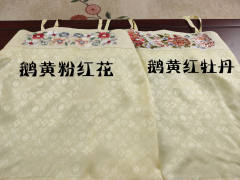单层湖绫吊带-资料图