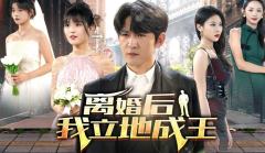 离婚后我立地成王